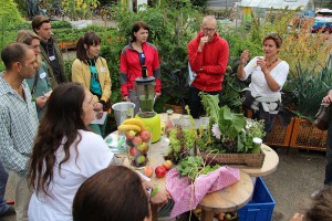 Grüne Wildkräuter Smoothies Seminar