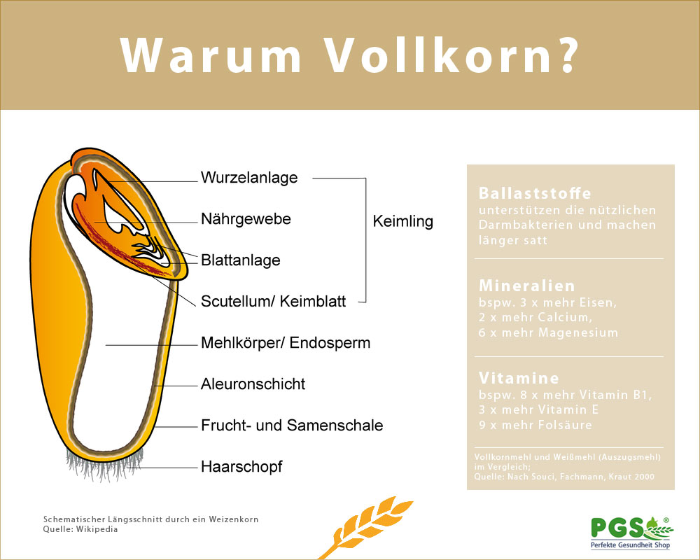 Warum Vollkorn? Warum Sie Ihr Getreide selber mahlen sollten!