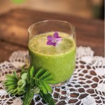Wilde grüne Smoothies Rezept FRAUENPOWER