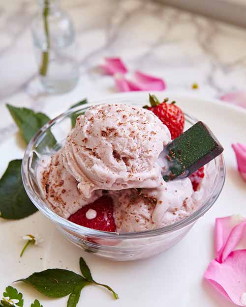 Leckere Eiscreme ohne Eismaschine herstellen Leckere Eiscreme ohne Eismaschine herstellen
