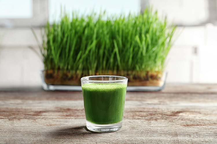 Weizengrassaft-Rezept # Der Klassiker Weizengrassaft-Rezept # Der Klassiker