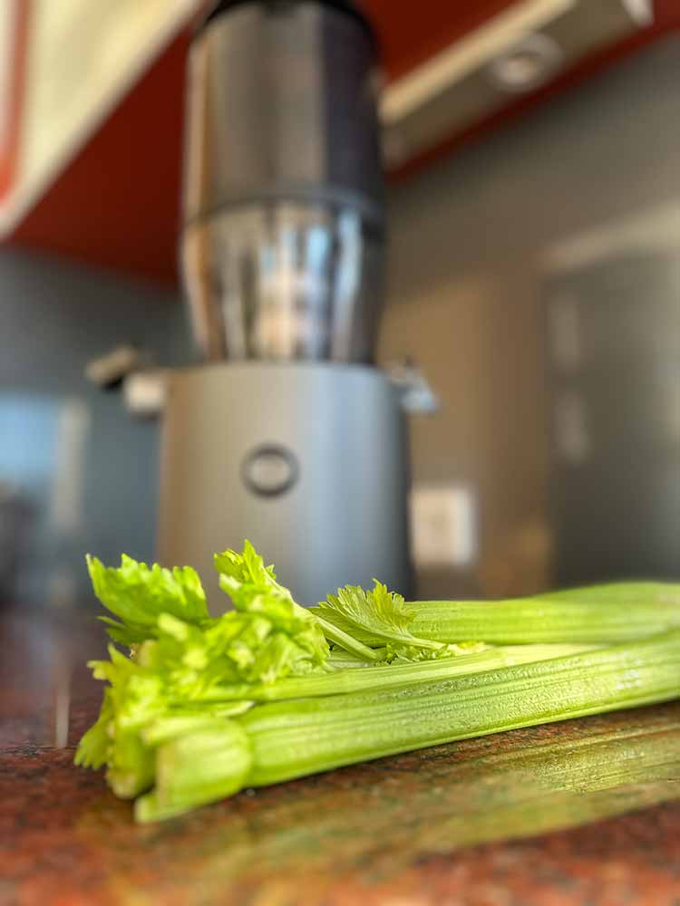 Stangensellerie im Slow Juicer zu Selleriesaft pressen Stangensellerie im Slow Juicer zu Selleriesaft pressen
