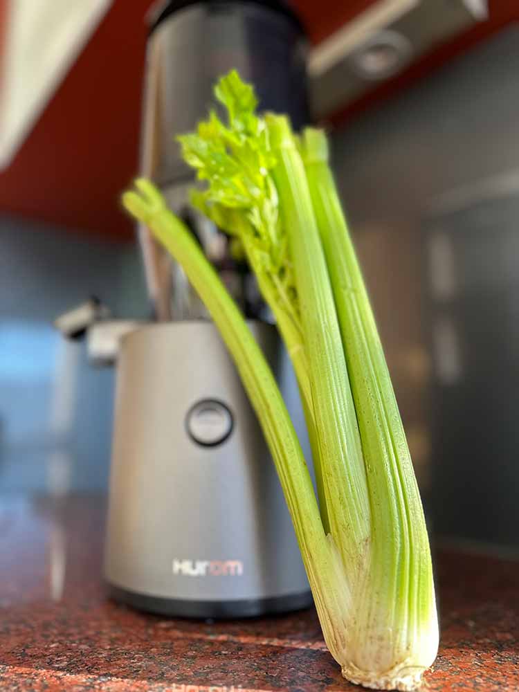 Die besten Slow Juicer um aus Stangensellerie den mineralstoffreichen Selleriesaft zuzubereiten Die besten Slow Juicer um aus Stangensellerie den mineralstoffreichen Selleriesaft zuzubereiten
