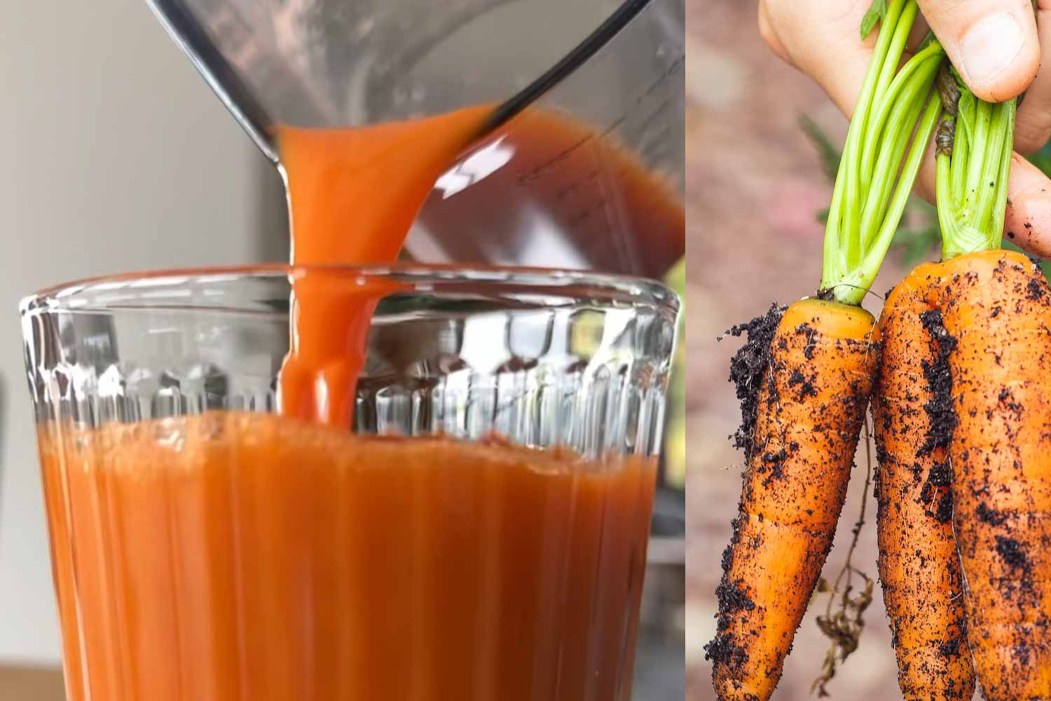 Karottensaft selber machen + Rezepte
