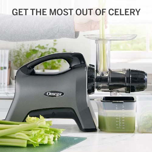 Hole das Maximum aus deinen Selleriestangen mit dem Omega Juicers MM1500 Hole das Maximum aus deinen Selleriestangen mit dem Omega Juicers MM1500